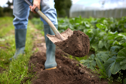 farm custom agronomics