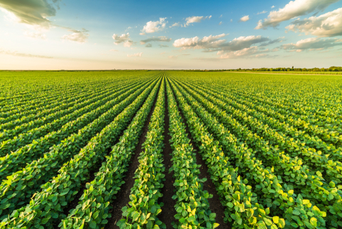 variable rate application variable rate application for corn and soybeans