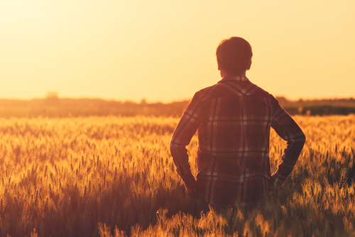 agronomist