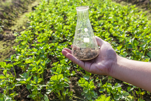 soil testing and fertility soil test
