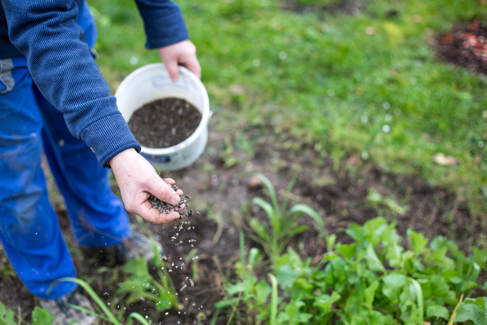 factors that influence soil fertility